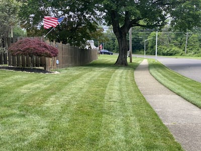 lawn fertilized by the green lawn program