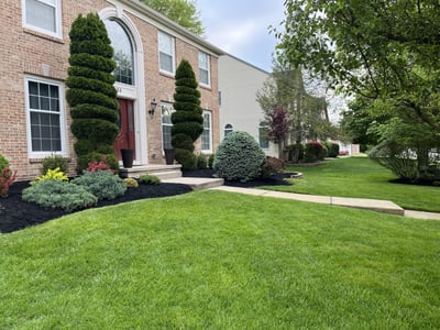 front lawn cared for by green lawn fertilizing