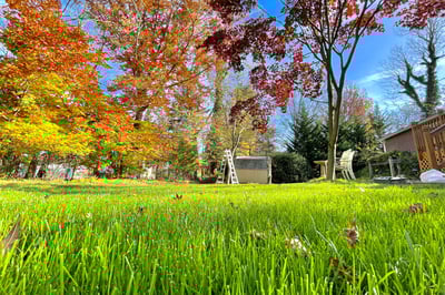 fall lawn ready for winter