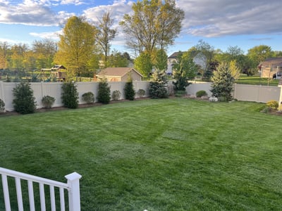 back yard fertilized by green lawn fertilizing