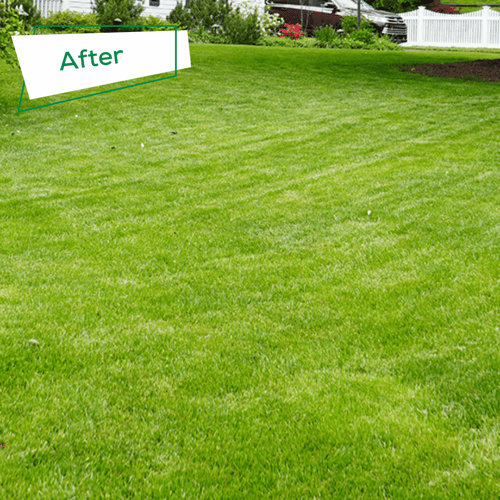 After-2