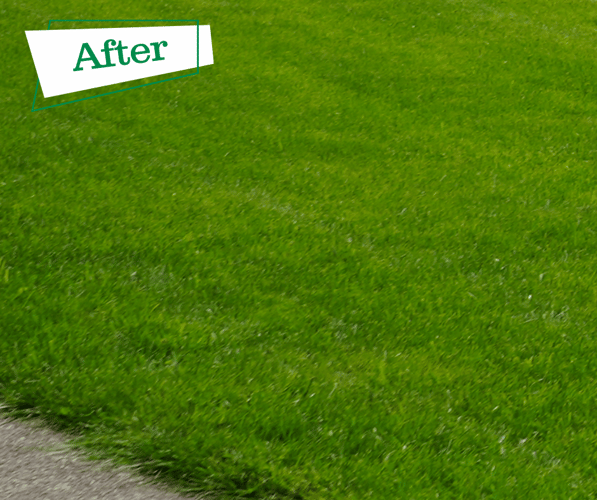 After-3