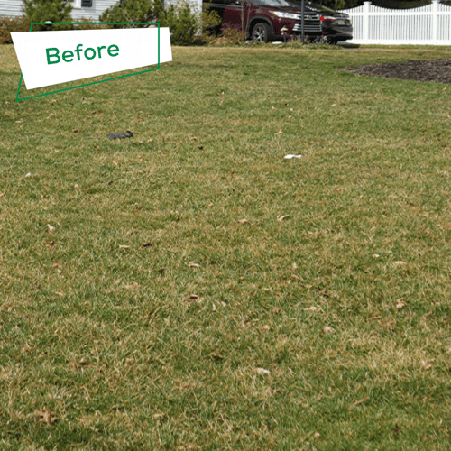 Before-2