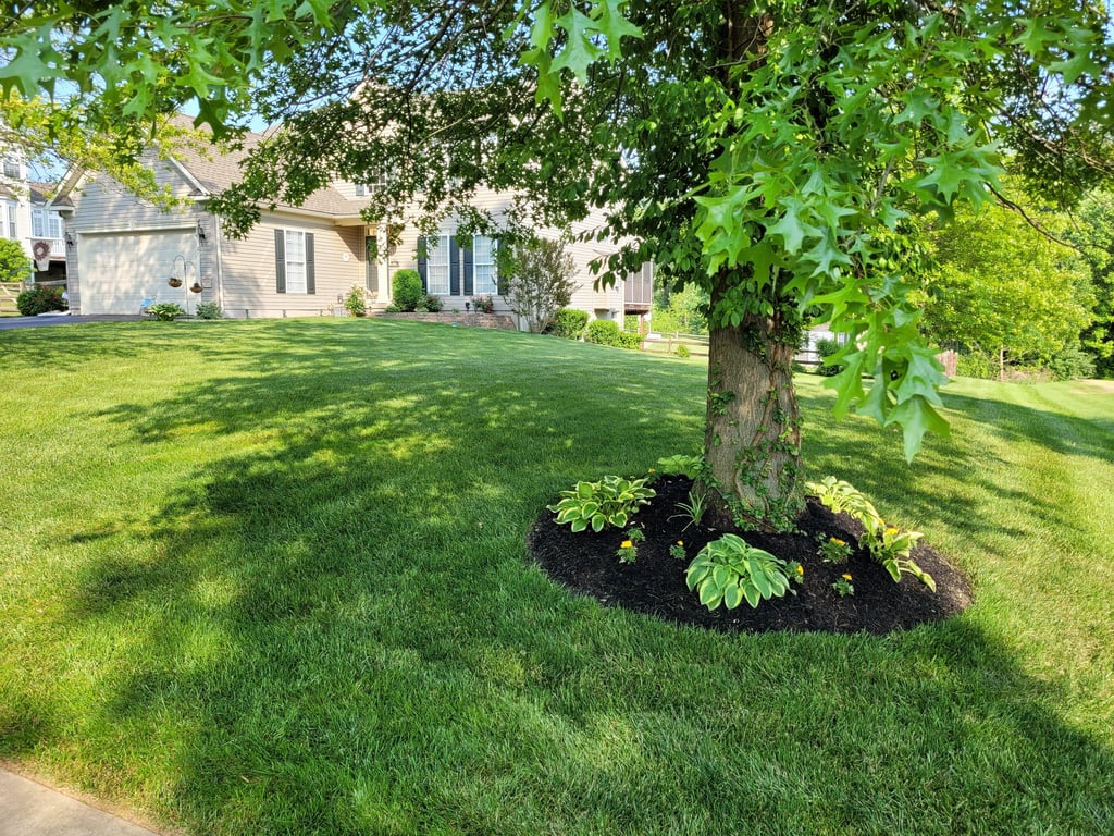 green lawn in wayne pa