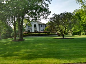Easton PA lawn cared for by green lawn fertilizing