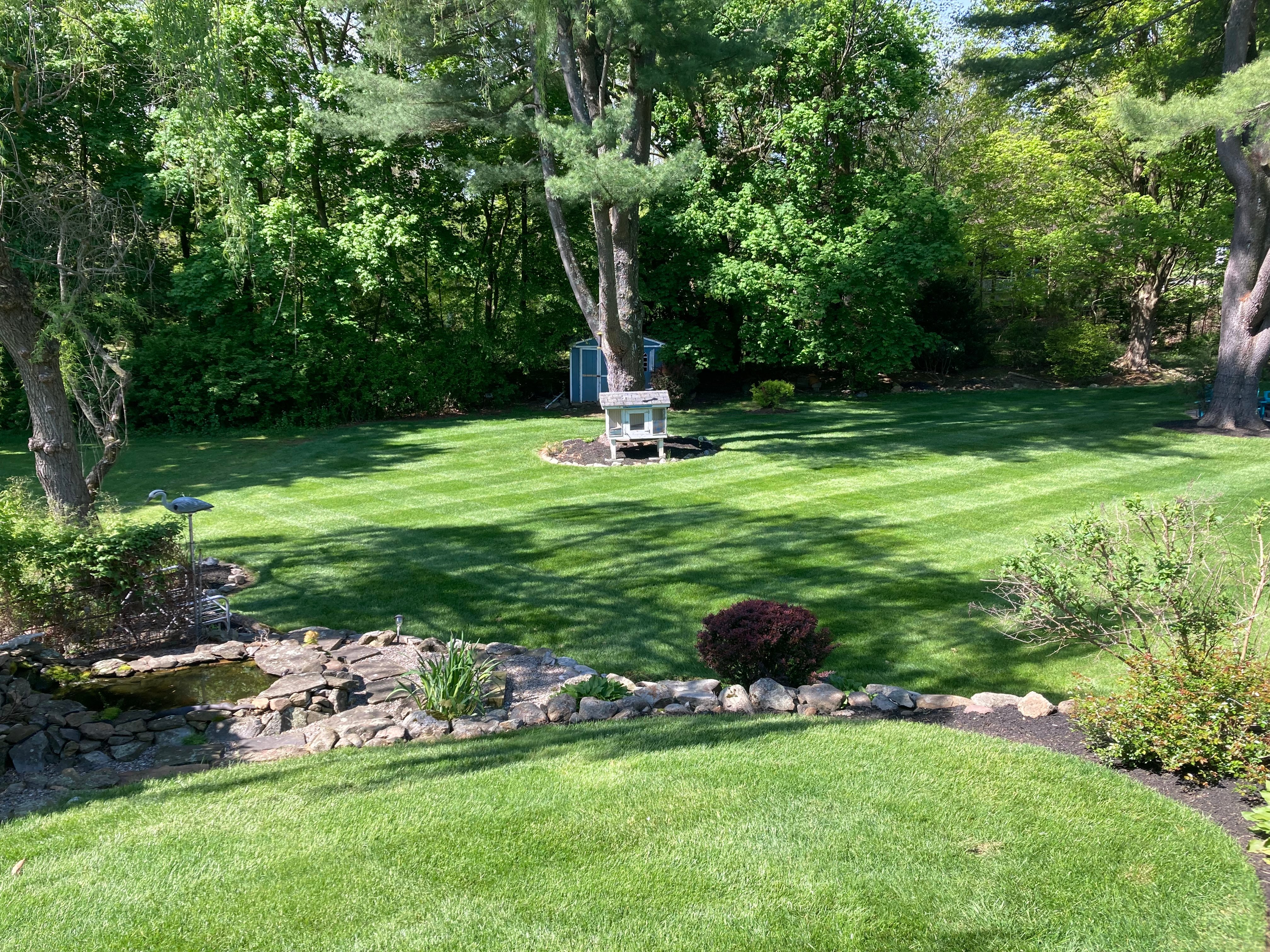 beautiful green lawn 