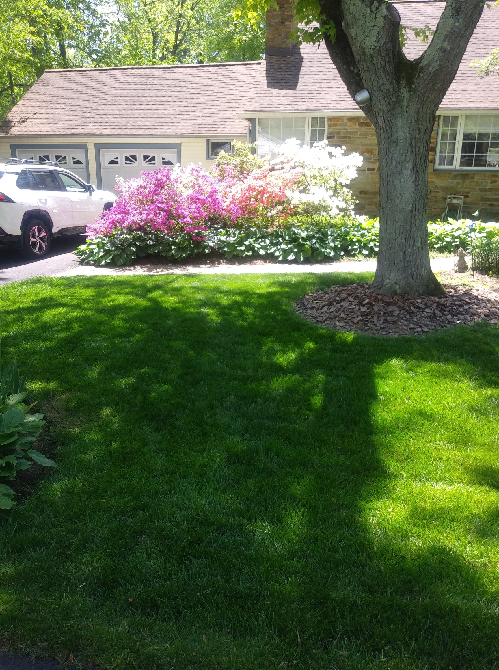 green lawn in front of a burlington township home