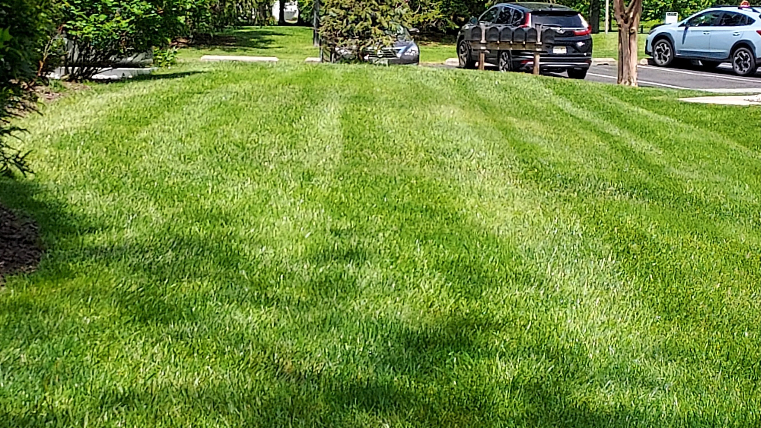 lawn care downingtown pa