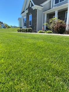 kennett square lawn fertilized by green lawn