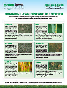 Healthy Lawn Full Website (Copy, 234 selected)