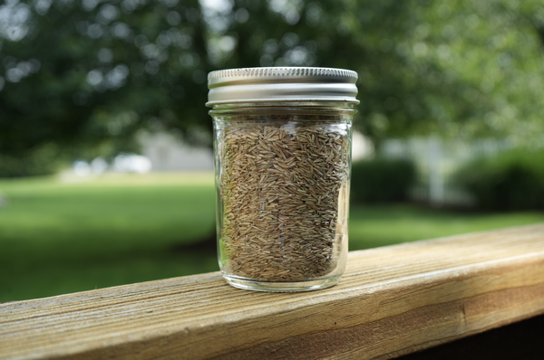 Grass Seed Jar-2