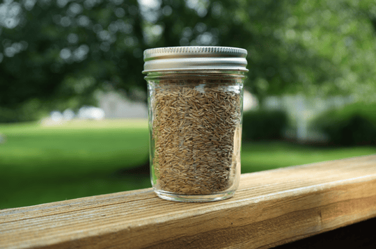 professional grade seed