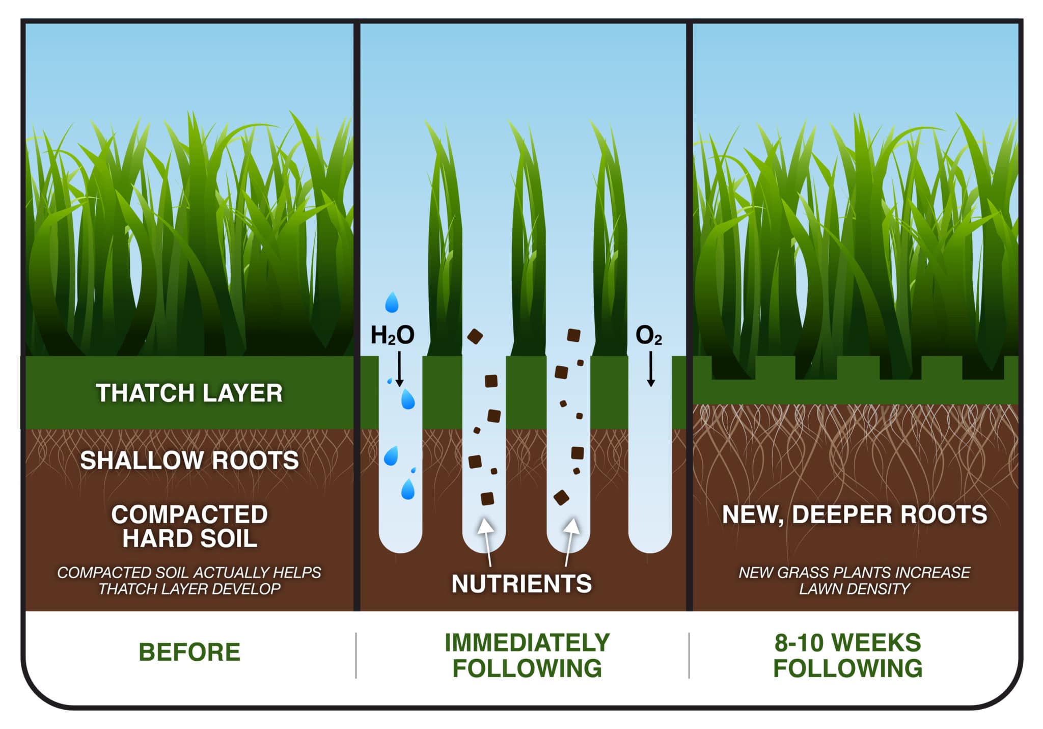 aeration benefits shown in a graphic