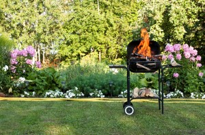 Summer BBQ marks on lawn