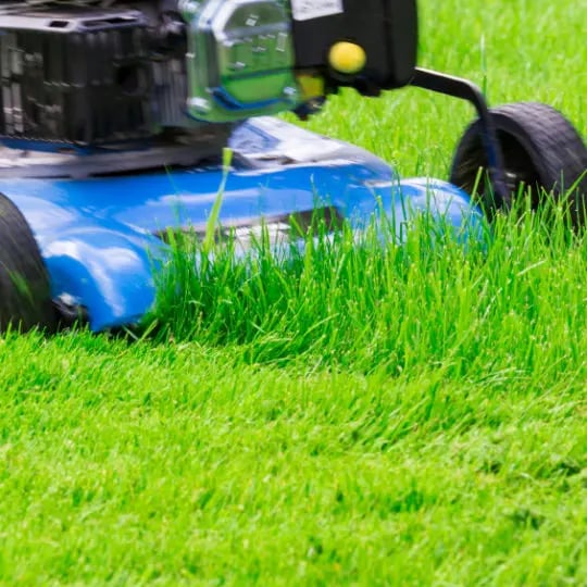Blue Lawnmover Cutting Grass