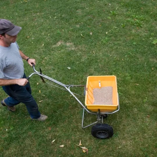 Fertilizing a Lawn
