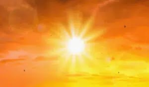 Too Much Sun