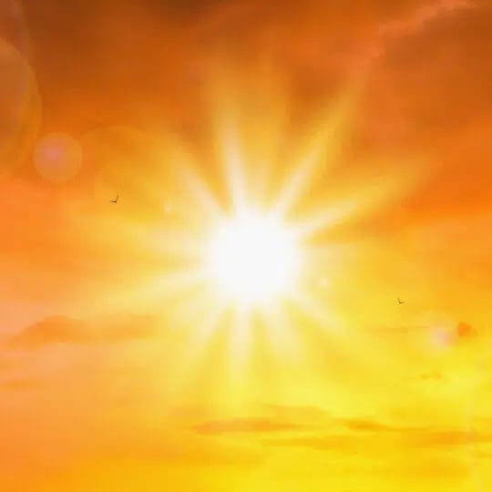 Too Much Sun