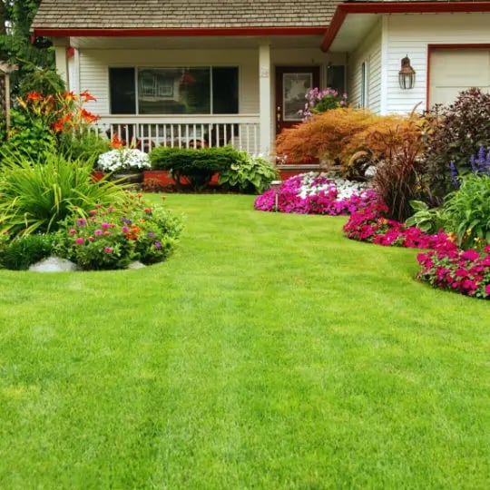 lawn care adds value to your home