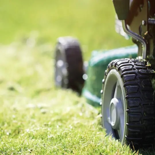 Lawn mower by itself top