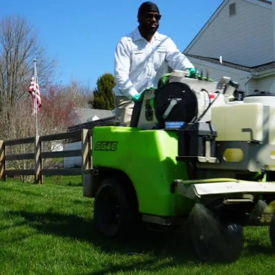 Professional top lawn care