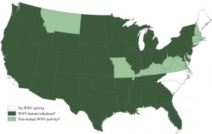 WNV Update
