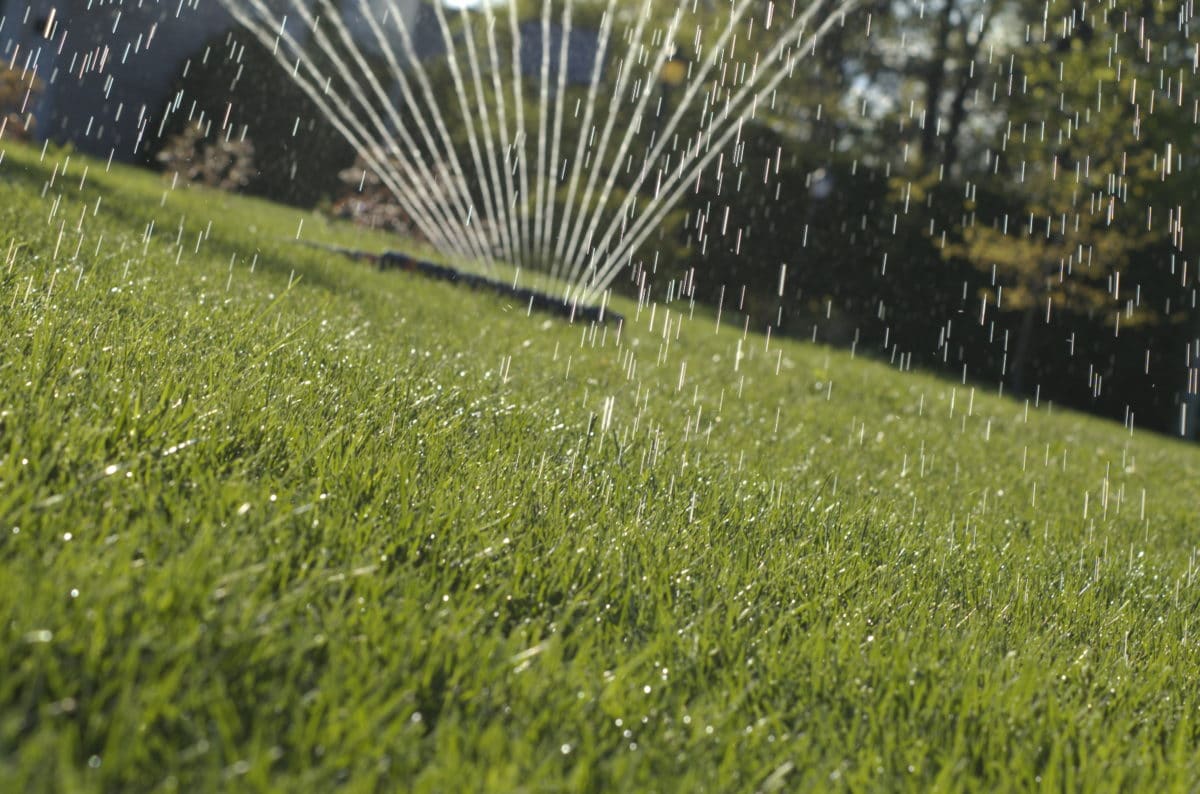 a sprinkler on a lawn in the fall