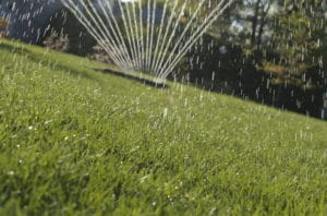 Watering lawn