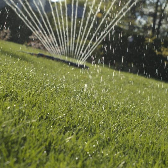 Watering lawn