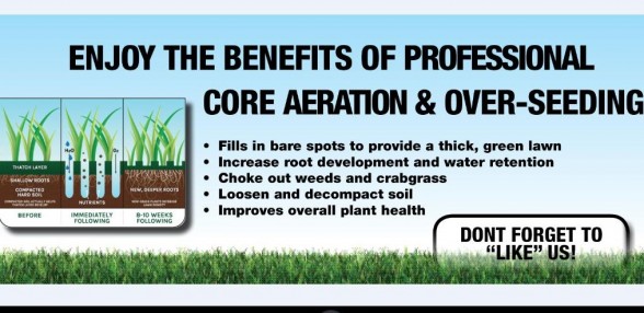 Professional Core Aeration and Seeding