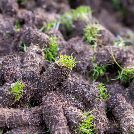 aeration
