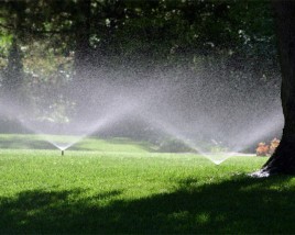 Early morning lawn watering