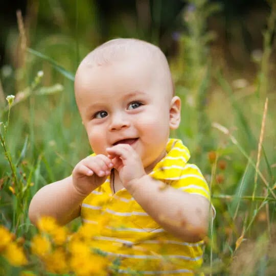 How to Keep Mosquitoes off Babies Naturally