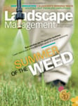 "Summer Of The Weed" logo
