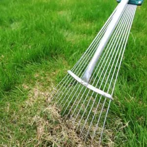 Is Aeration and Seeding a Substitute for Dethatching?
