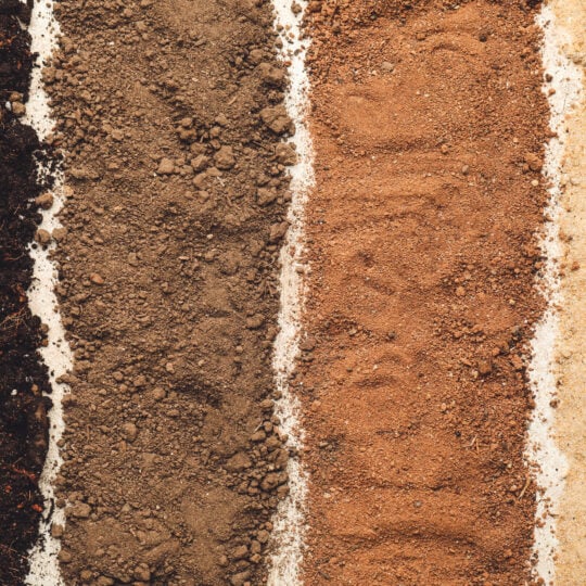 color of soil