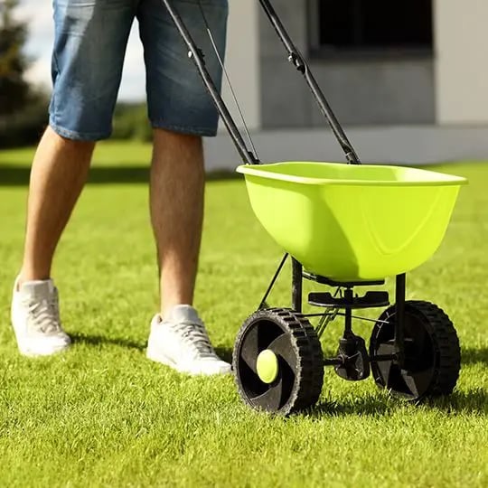 Fertilizing lawn