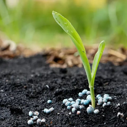 Lawn fertilizing store companies