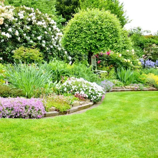 Whats lawn outlet