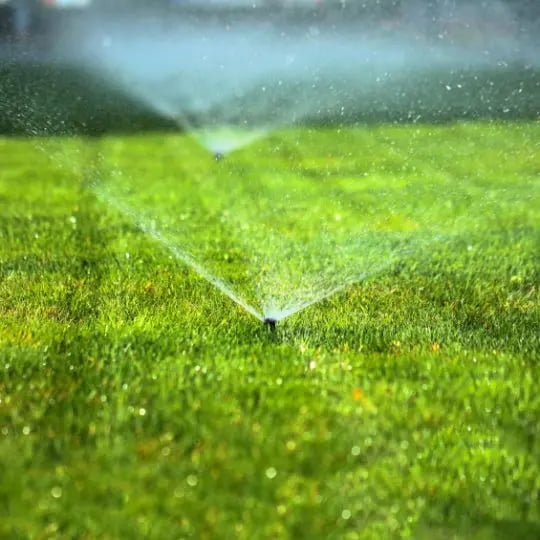 garden sprinkler on the green lawn