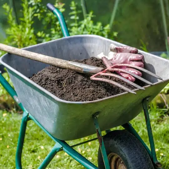 How to Top Dress Your Lawn