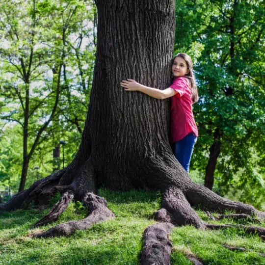 Girl hugging tree