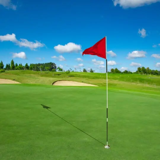How to Mow Grass Like a Putting Green