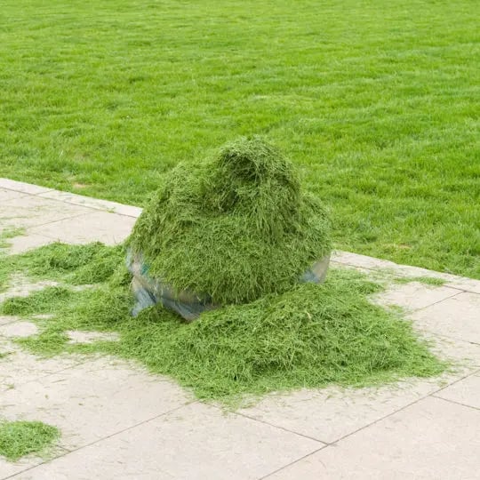 grass-clippings