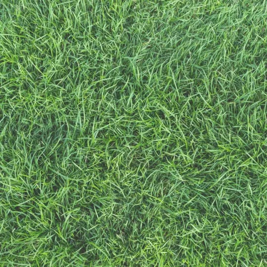 green-grass