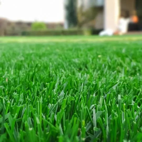 Lawn Care Allentown, PA