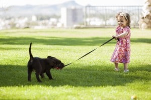 Traffic on a lawn