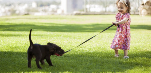 Getting Your Lawn Ready for Spring