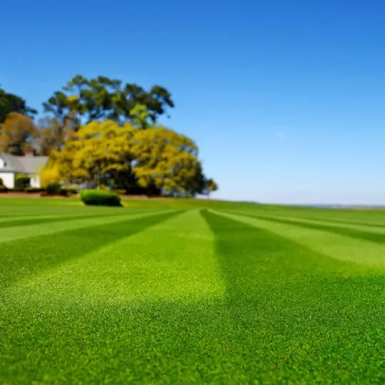 Lawn Care Business Hacienda Heights thumbnail