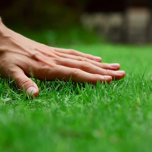 lawn-care-service_jpg-Dec-06-2023-05-38-03-7275-PM